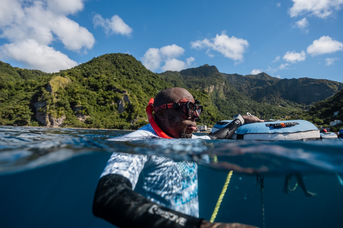 Safety diver at the surface with the rainforest coastline behind