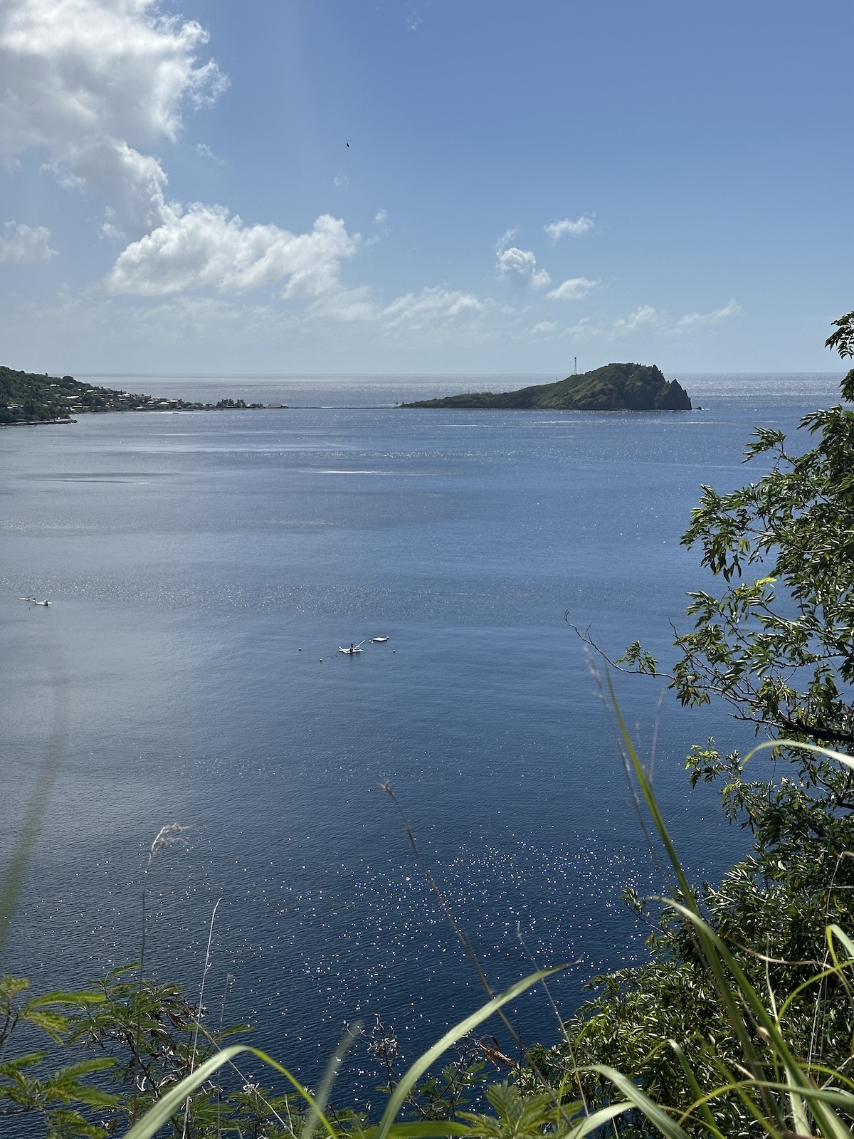 Looking down over Soufrière Bay from the hillside, the dive platform on the calm water below