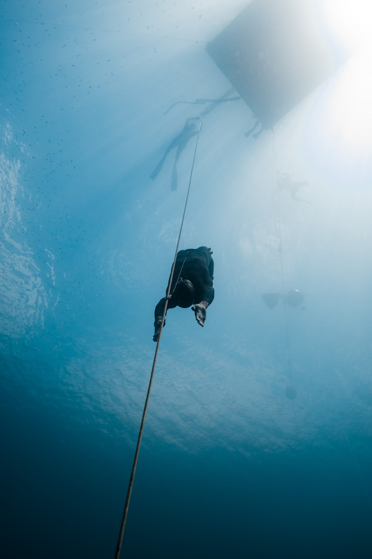 A freediver descends the line into deep blue water