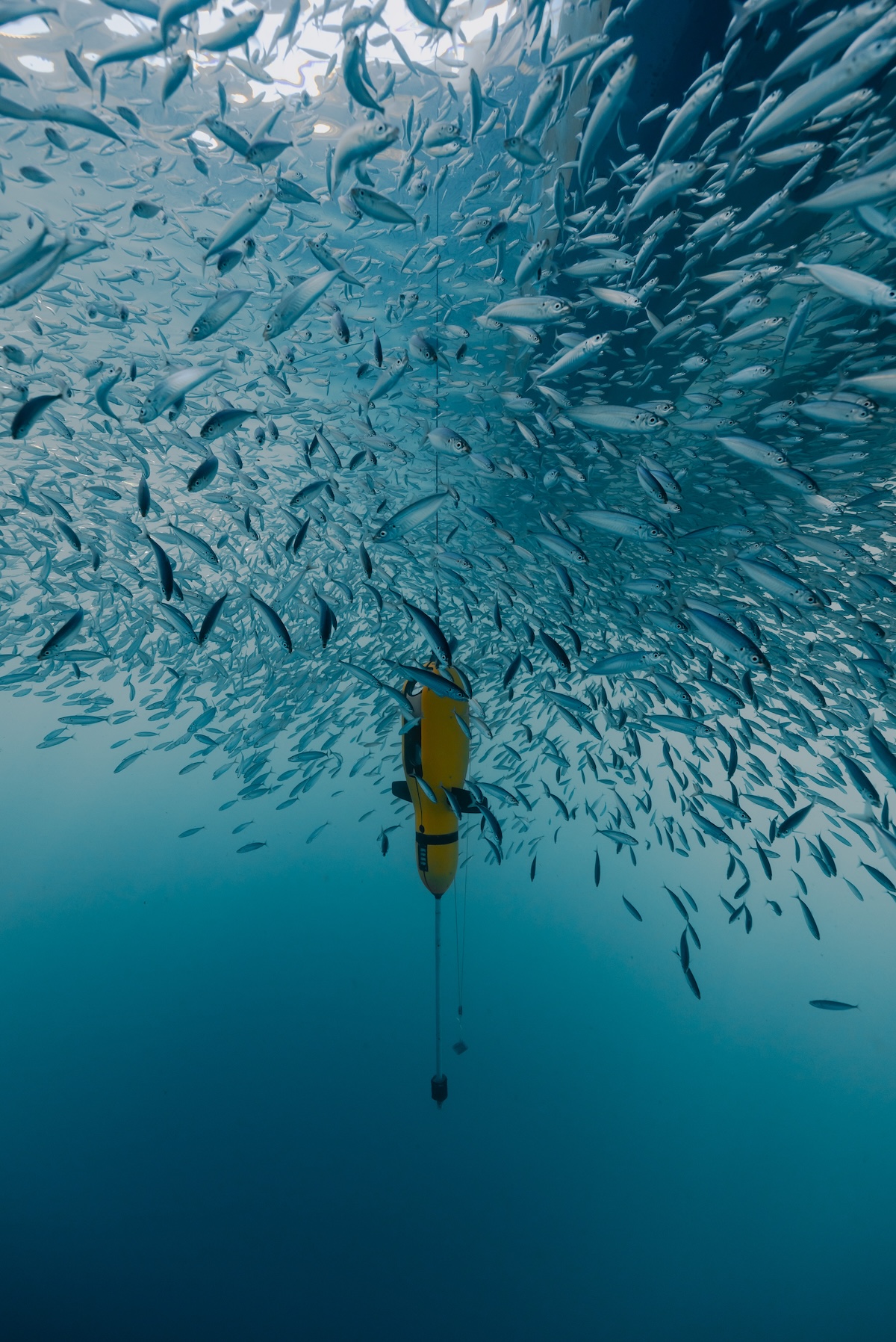 DiveEye underwater footage of a competition dive