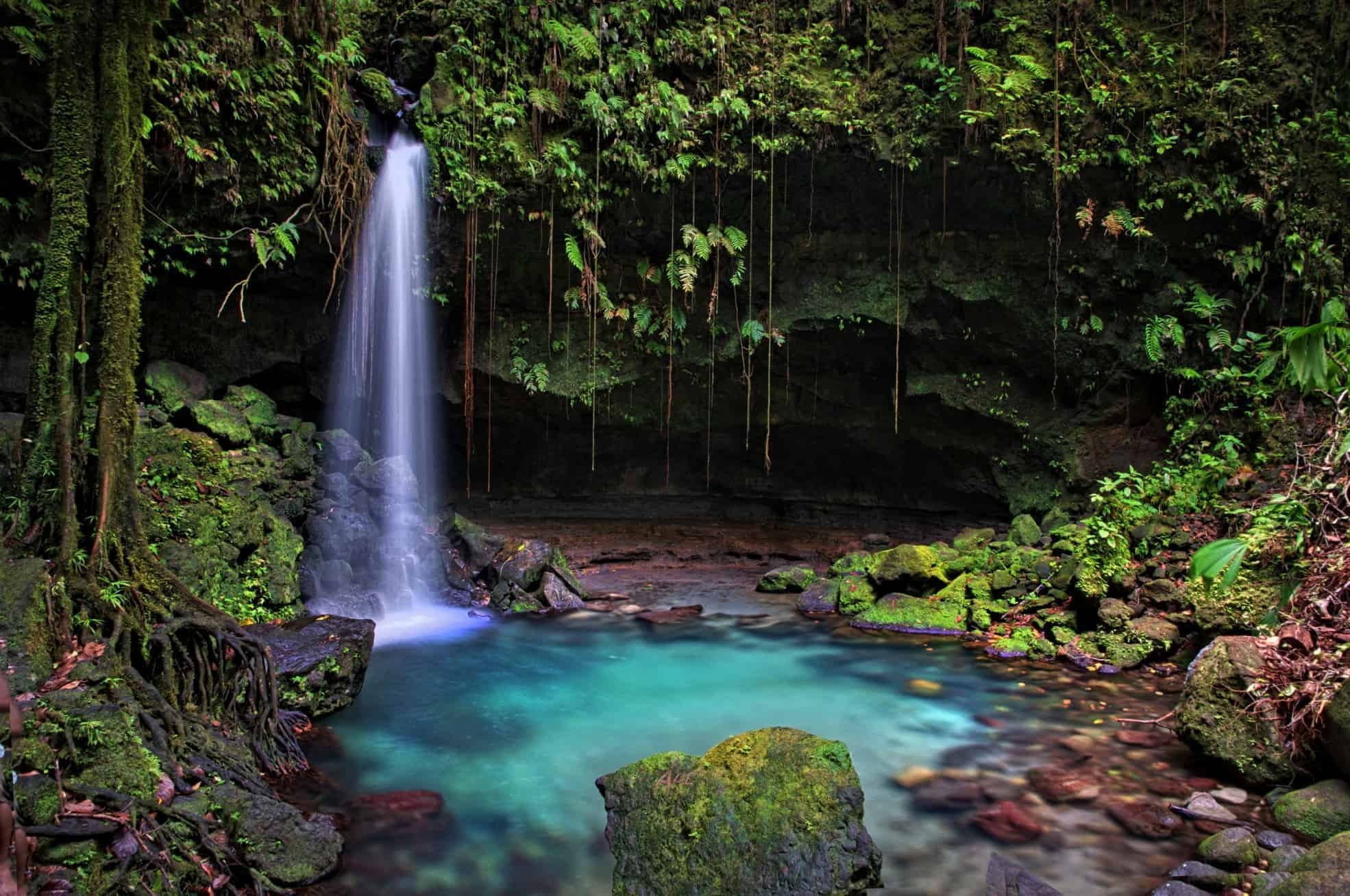 Emerald Pool — a waterfall pouring into a turquoise pool deep in Dominica's rainforest