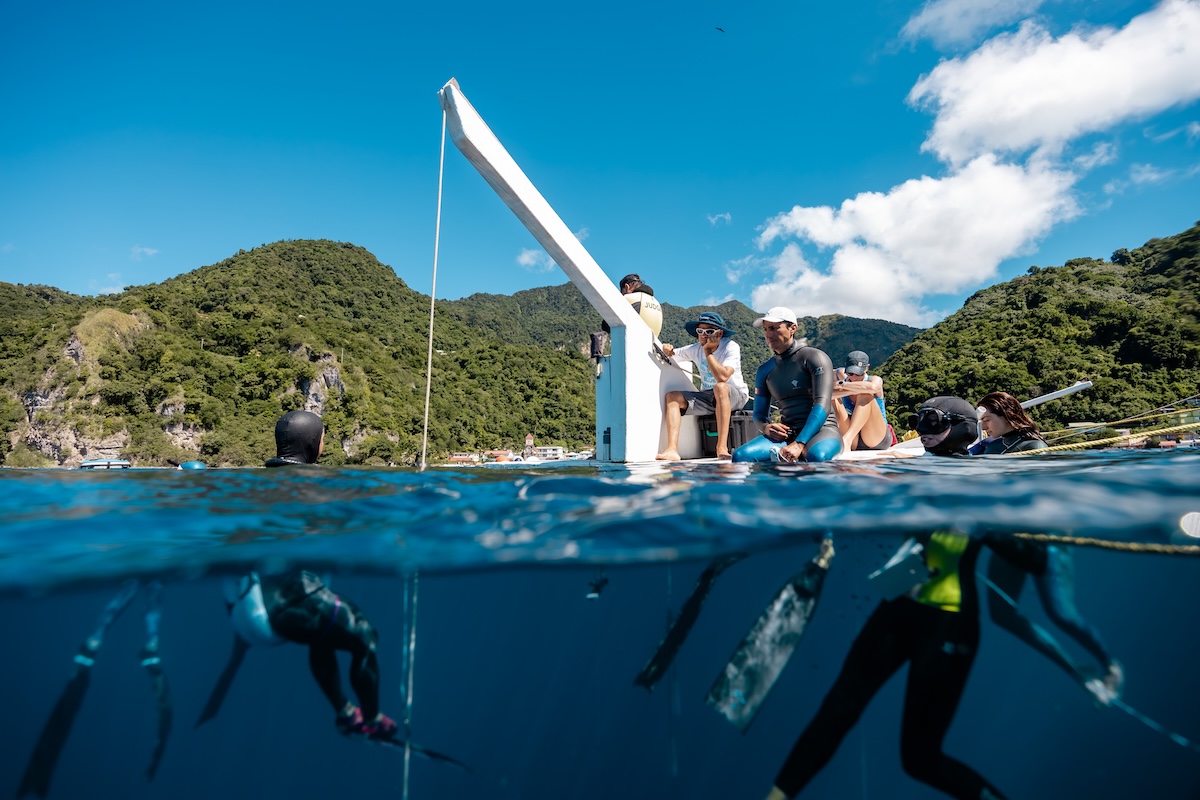 Coaches and students at the platform in Soufrière Bay