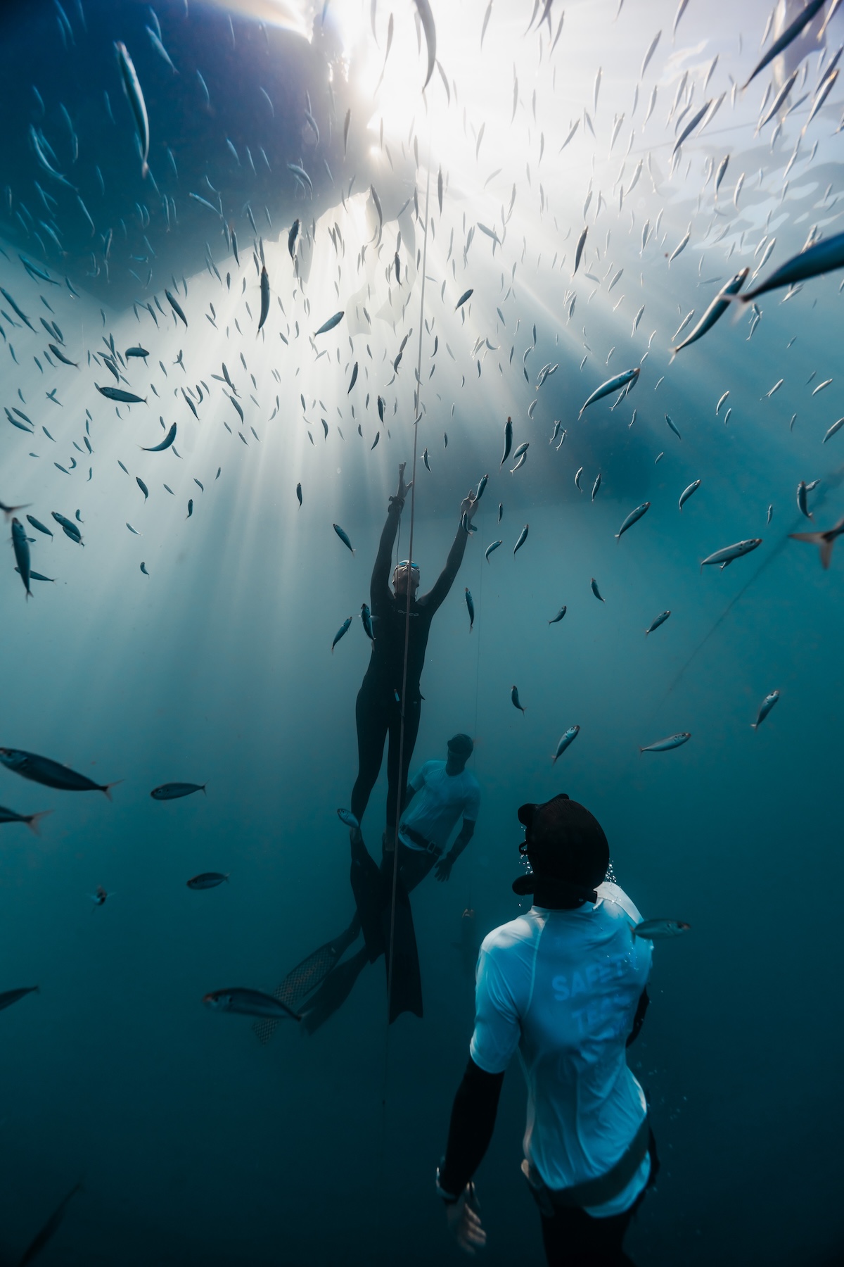 Freedivers on the competition line surrounded by a shimmering school of fish