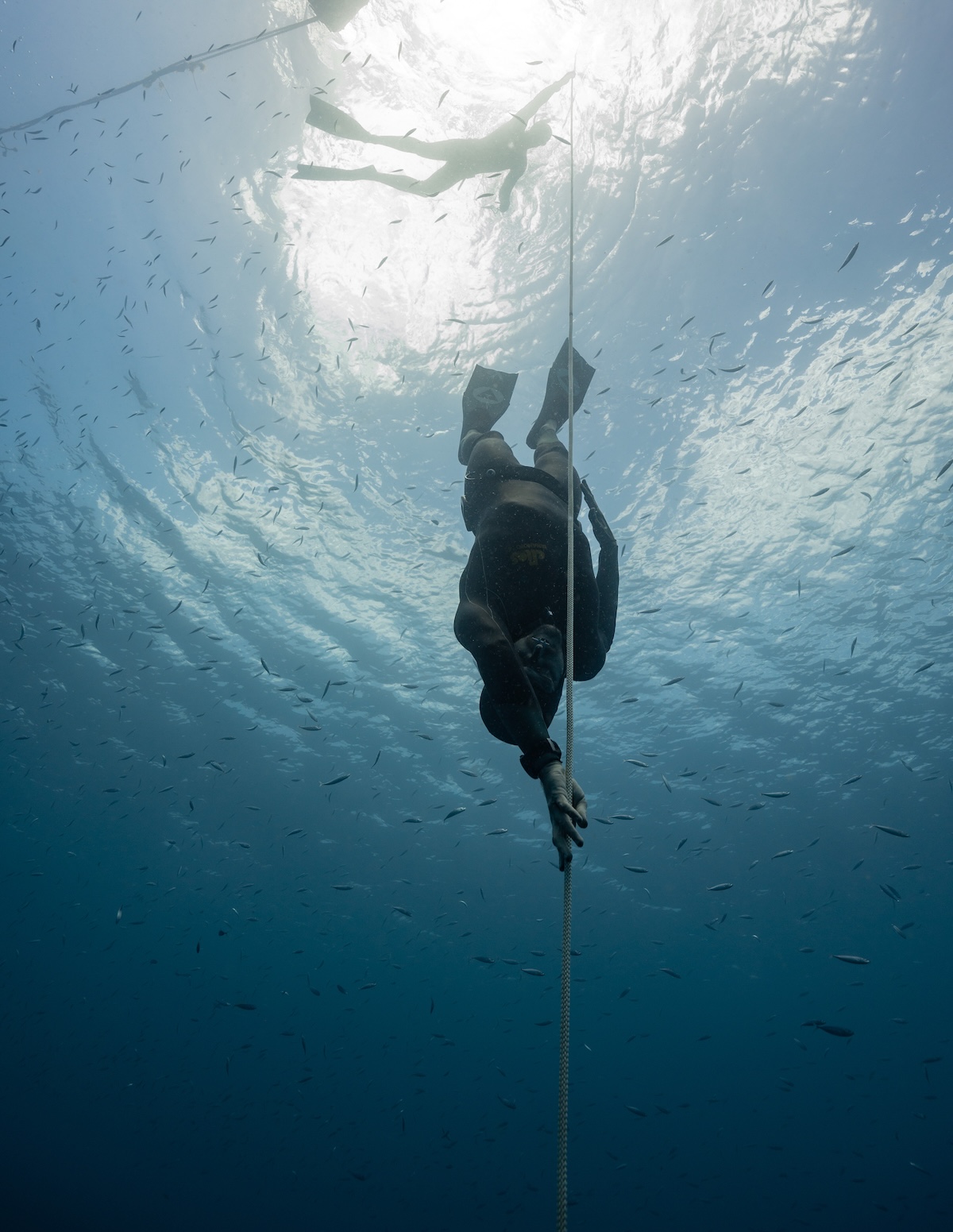 Free immersion diver pulling the line through a cloud of fish