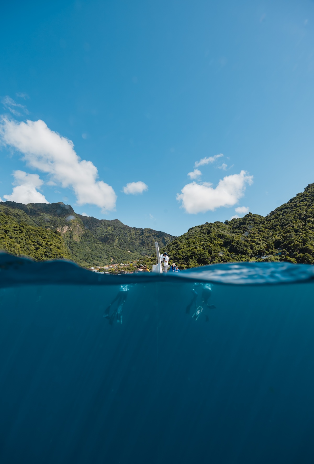 Over-under view of Soufrière Bay — Dominica's rainforest coastline above the waterline, freedivers descending into clear blue below