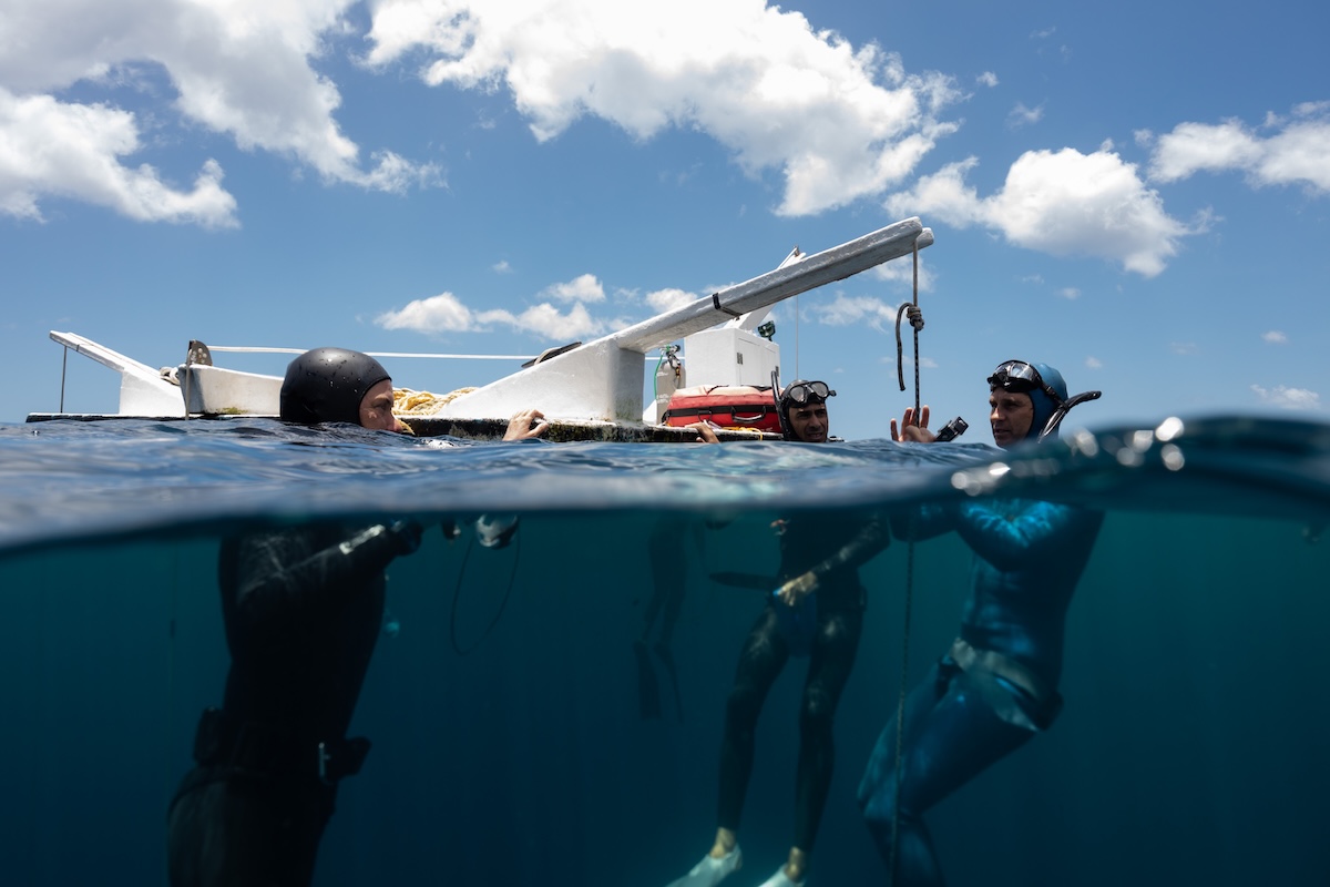 Divers regrouping at the boat after a session