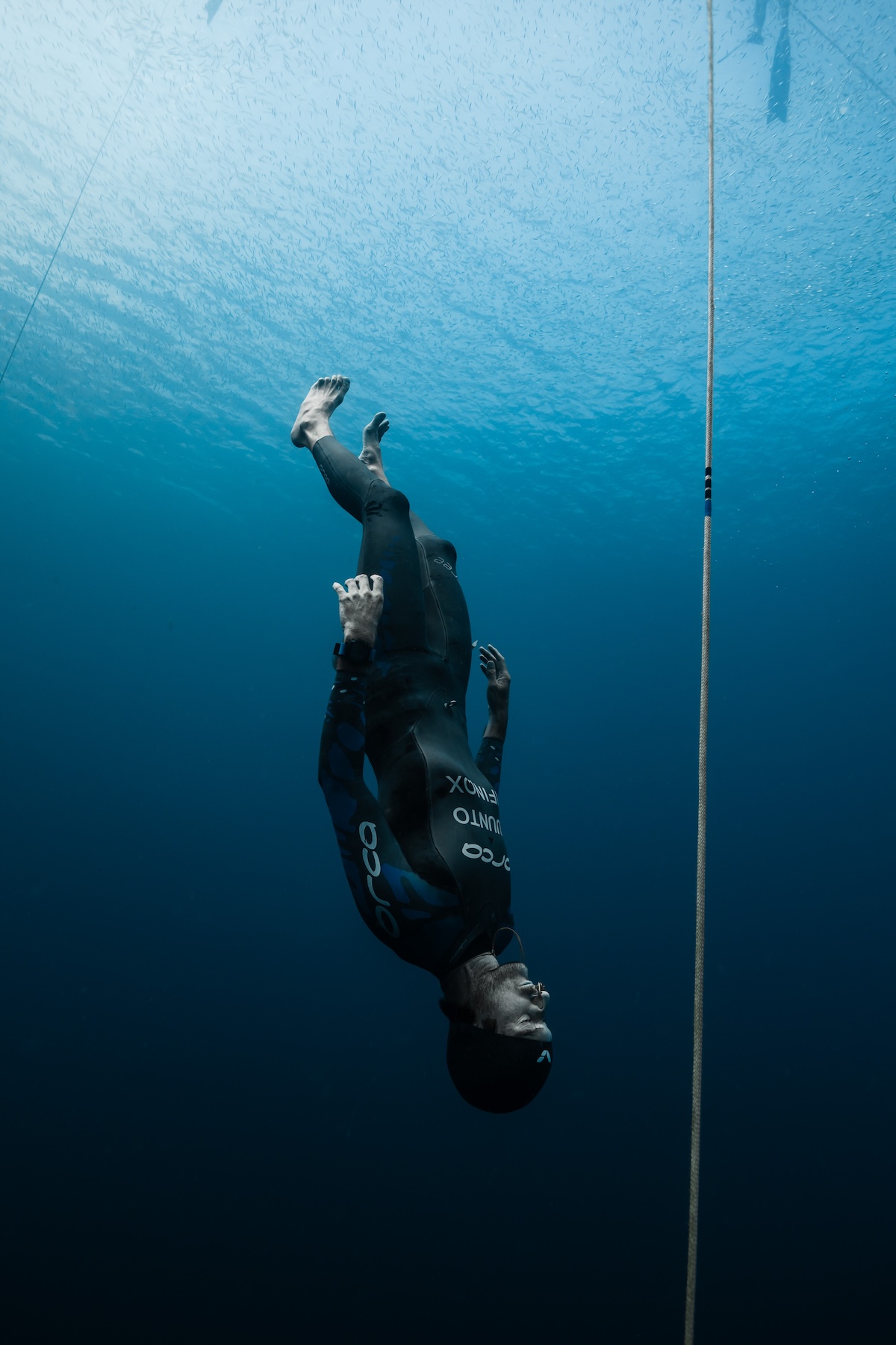 Diver gliding into the deep beneath a baitball
