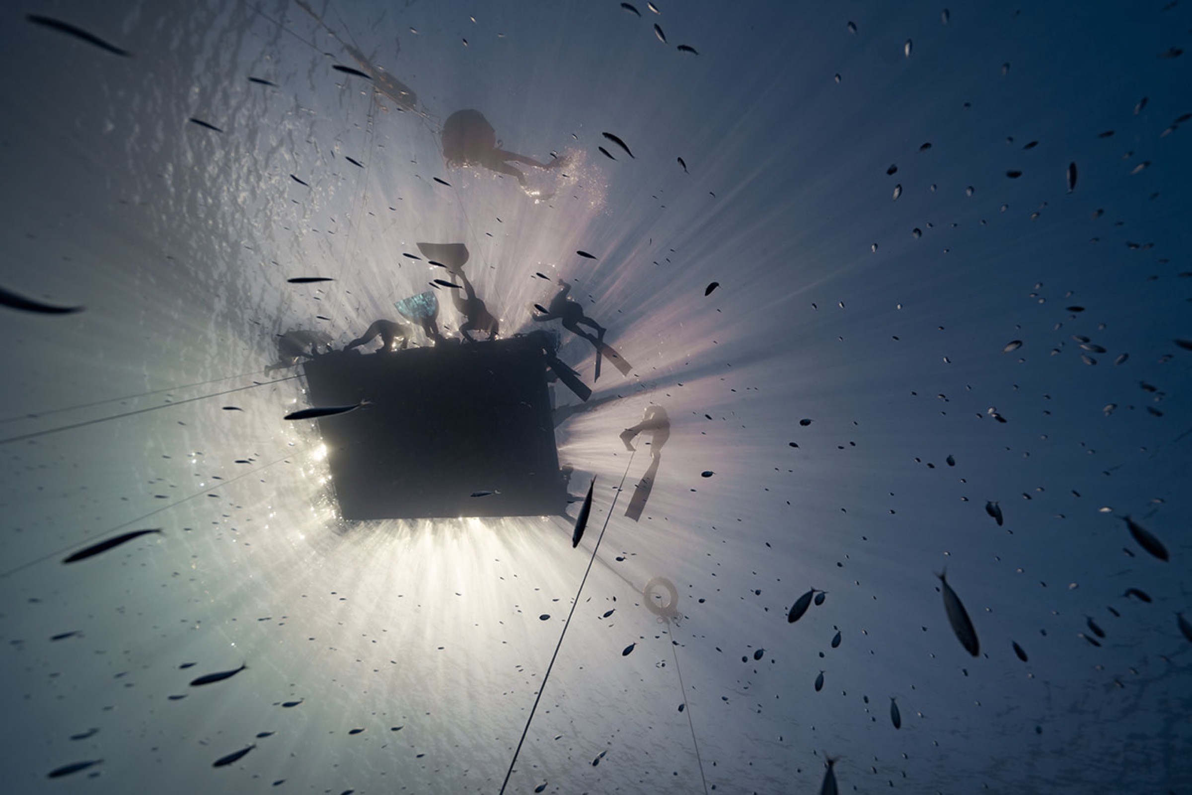 The platform seen from directly below, sunburst and divers silhouetted