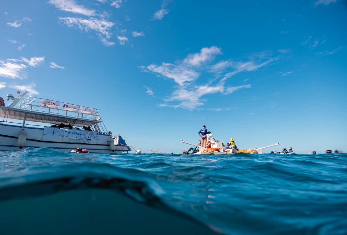 The Blue Element boat and dive platform moored in Soufrière Bay